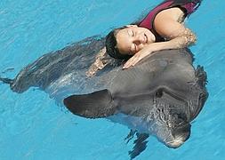 Un niño con parálisis cerebral sigue una terapia con delfines. / Archivo