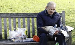 Un anciano da de comer a unas palomas en un parque. / Reuters