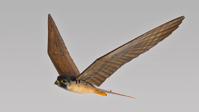 Drones espantapájaros