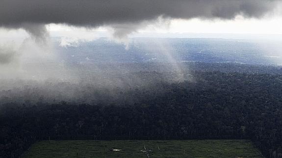 La cantidad de gases causantes de cambio climático alcanzó un nuevo máximo