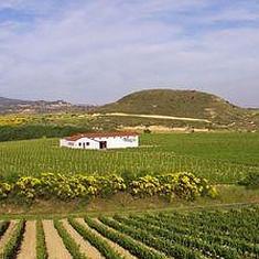 Bodegas Muga, vinos que nacen de la inspiración