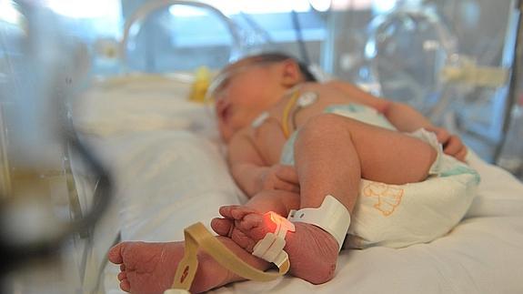 Bebé en la Unidad de Neonatología del Hospital de Cruces, Vizcaya