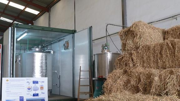 El prototipo se ha instalado en las cercanías del Parque Natural de la Albufera de Valencia.
