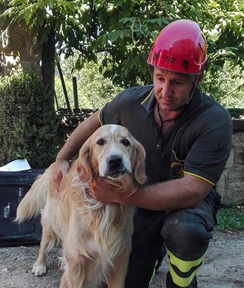 El perro, junto al bombero que lo rescató. 