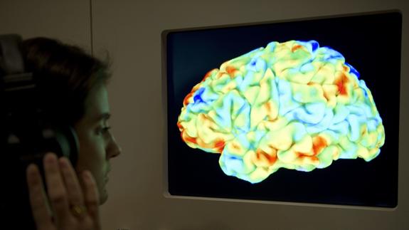 Identifican cómo el cerebro procesa y predice el habla.