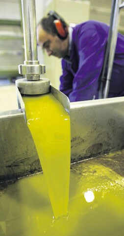 Hojiblanca calienta el mercado del aceite de oliva