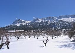 Campo nevado del municipio almeriense de María, con la sierra del mismo nombre al fondo. :: Ayuntamiento de María