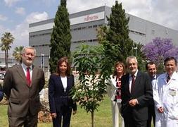 Griñán afirma que la Junta no tiene “una posición predeterminada” sobre si el metro debe ir en superficie o soterrado