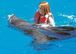 Las interacciones con el león marino van acompañadas de explicaciones sobre su modo de vida. :: M. C. J.