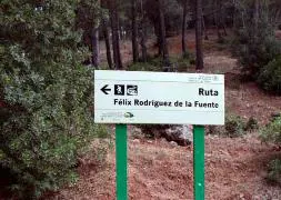 La ruta cuenta con abundante señalización y cinco miradores. Foto: Turismo de Jaén