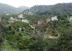 Panorámica en uno de los tramos de la ruta. :: SUR