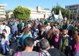 Padres, alumnos, profesores y dirigentes políticos, se han manifiestado hoy. :: E. Cabezas
