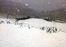 Este es el aspecto que presentaba las inmediaciones de El Torcal esta mañana.:: SUR