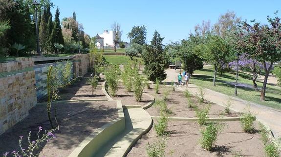 Las plantaciones de los bambúes se están realizando estos días en el Parque San Miguel.