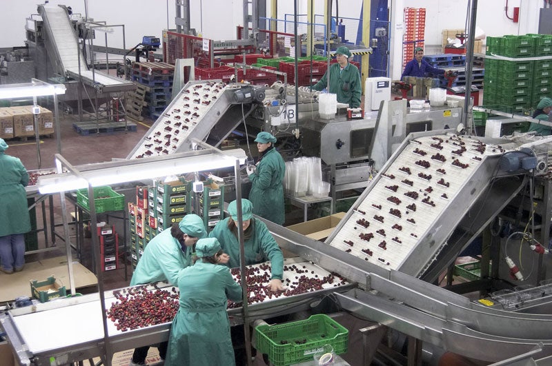 Trabajadores de una cooperativa