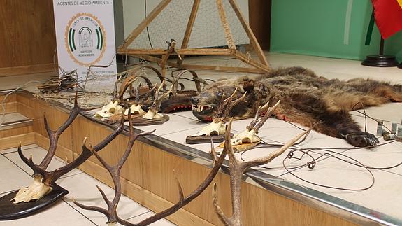 Medio Ambiente interviene una piel de oso y varias trampas para animales