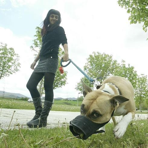 Condenan a la dueña de un perro que iba suelto y sin bozal y mordió a otro