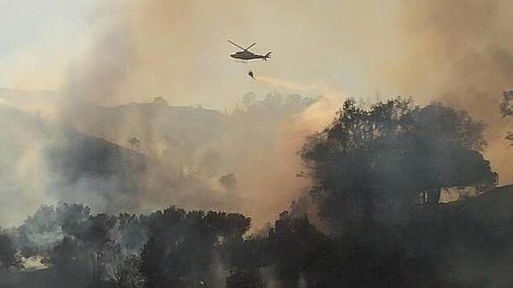 Controlado el incendio declarado junto a la autopista de peaje en Mijas