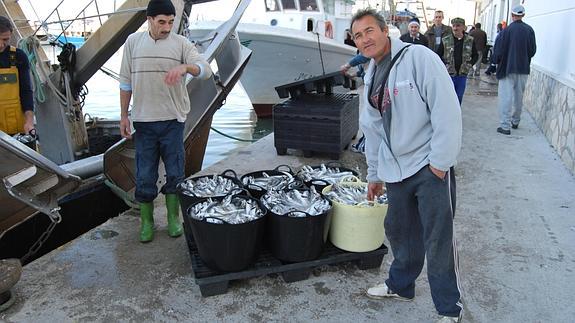 El puerto de La Caleta de Vélez es el que más barcos posee con un total de 78 embarcaciones.