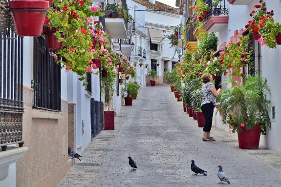 Calle del proyecto 'Estepona, Jardín de la Costa del Sol'. :: L.P.
