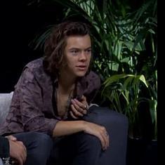 Harry Styles es bisexual
