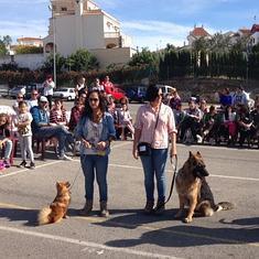 Han participado un total de 85 perros.