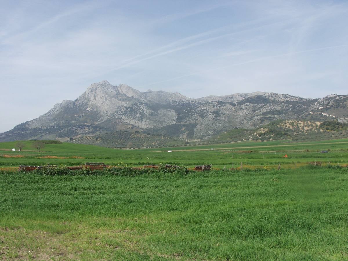 Alfarnate, visto desde uno de los puntos más elevados de la ruta.