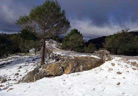 Algunas zonas de la Serranía de Ronda ha amanecido cubierta de un manto blanco. 