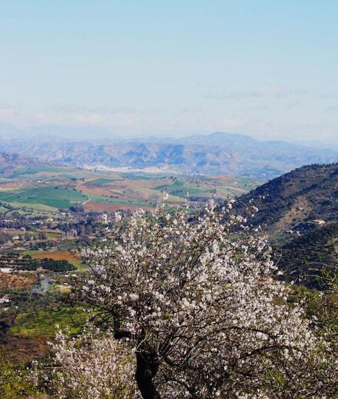 Vista desde el mirador de la ruta más corta que se puede seguir desde Guaro. 