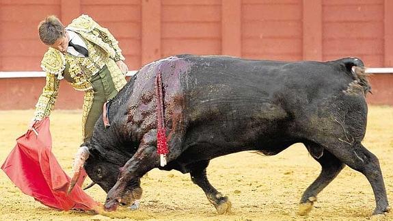 Derechazo, de mano baja, de El Juli a uno de los tres oponentes a los que se midió el pasado año en Málaga.