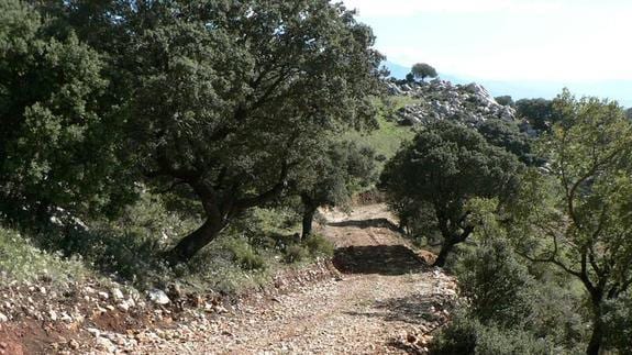 La Sierra de Camarolos sirve de frontera natural entre las comarcas de la Axarquía y Antequera. 
