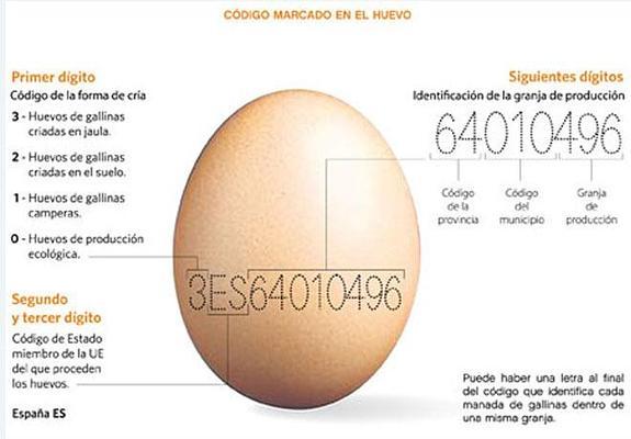 ¿Cómo leer un huevo?