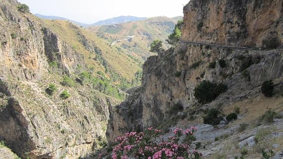 Perspectiva del Saltillo y su entorno