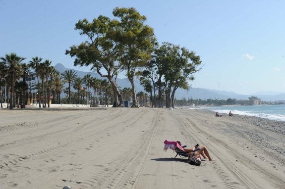 30.000 metros cúbicos de arena procedentes del dragado de Banús han sido esparcidos en San Pedro. 