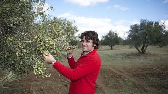 El aceite ecológico de Finca La Reja sigue cosechando premios