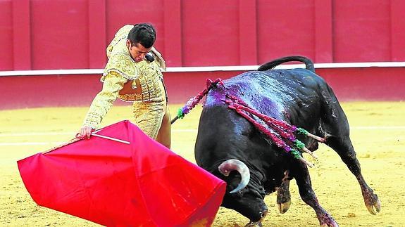Triunfo de Adame en su debut y dos toros de nota de Torrestrella