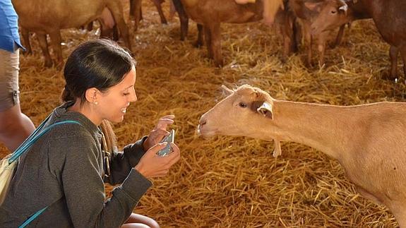 Una de las jóvenes del intercambio graba con su móvil a los animales. 