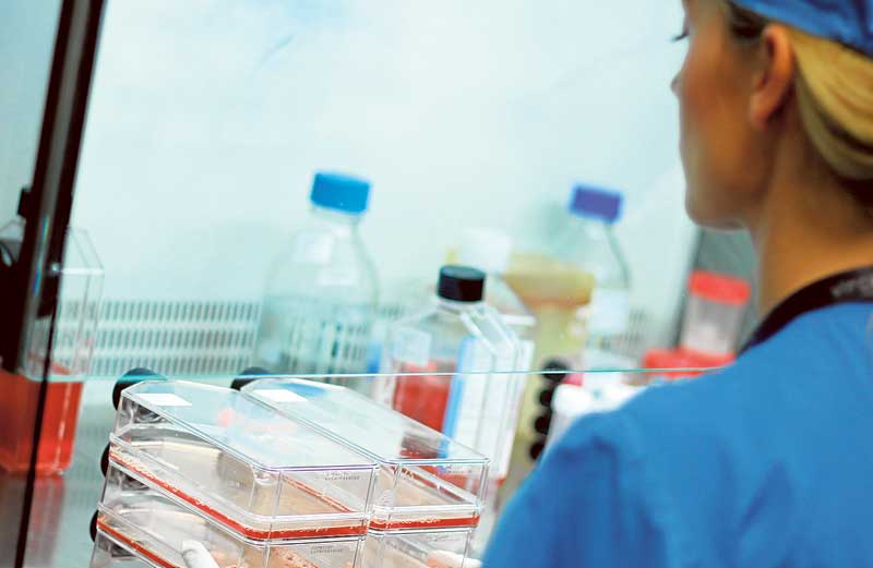 La plantilla se compone de 80 trabajadores y tiene una significativa presencia de doctores. 