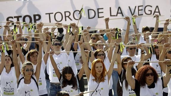 Varias ciudades españolas han mostrado su rechazo al Toro de la Vega. 