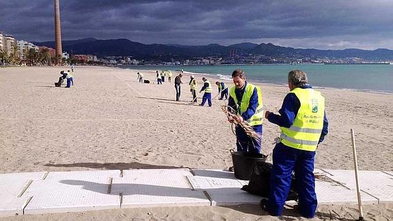Una cuadrilla de operarios realiza tareas de limpieza en las playas de Huelin en la anterior edición del plan de empleo.
