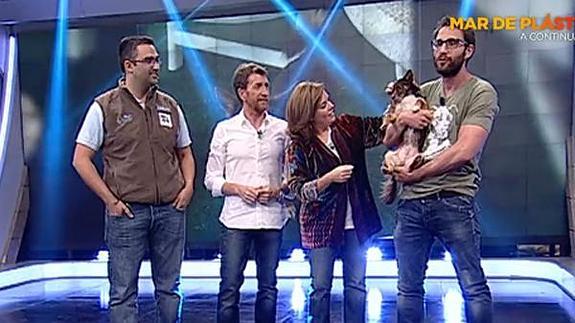 Dani Rovira (a la derecha), junto a la vicepresidenta, Motos y el veterinario que cuidó a uno de los perros que busca un hogar.