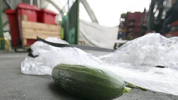 Más alimento, menos desperdicio