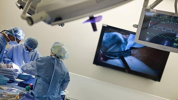 Imagen de archivo de un trasplante de riñón