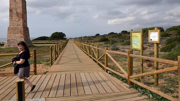 Una gran sendero perimetral protege el entorno dunar. De él surgen cinco caminos que cruzan el enclave de norte a sur. 