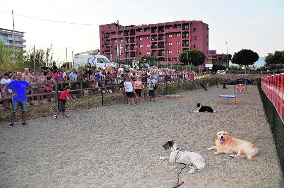 Imagen del Parque Canino de Fuengirola. :: m. gámez