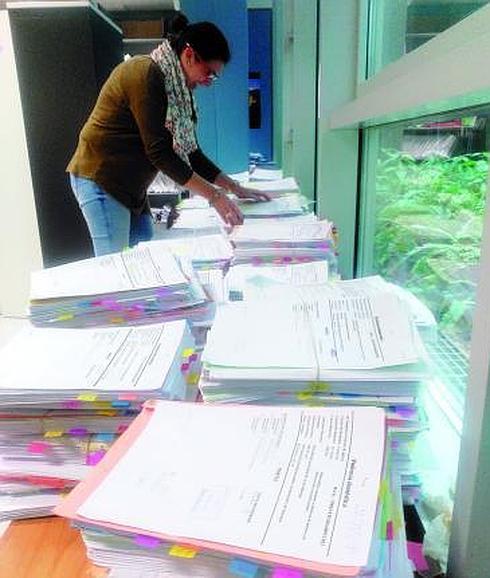 Los juicios ordinarios por malos tratos acumulan más de dos años.