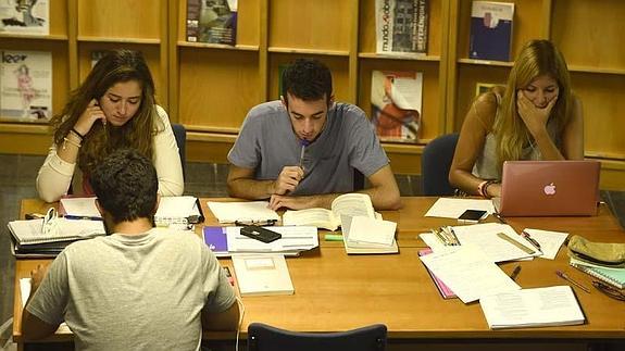 Un grupo de alumnos estudia en una biblioteca.