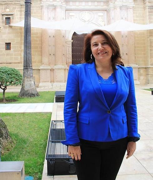 «Susana Díaz debe explicar en el Parlamento su posición sobre los pactos de Pedro Sánchez»