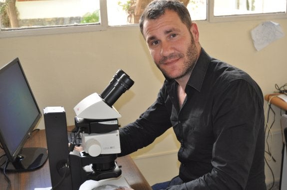 Mejorar el control biológico de plagas en el tomate, nuevo reto de La Mayora