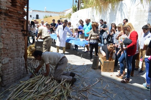 La jornada incluyó la degustación de jugo de caña molido en vivo en uno de los patios del ingenio. :: e. cabezas
